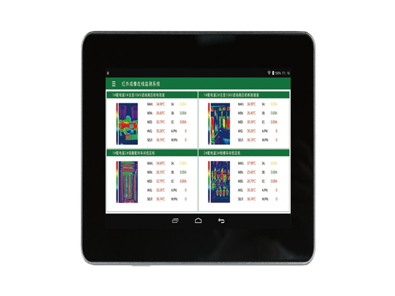 RKCW红外测温分析仪